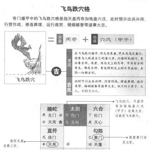 飛鳥跌穴|奇門遁甲～飛鳥跌穴和青龍返首